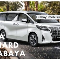 Sewa Alphard Surabaya